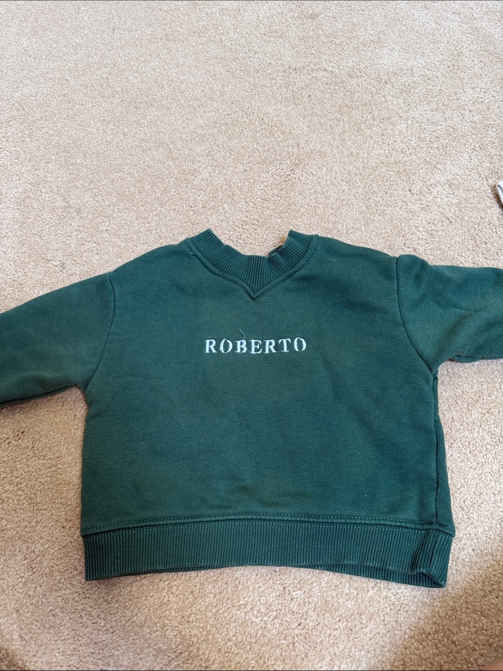 Zara ‘Roberto’ Green Crewneck Sweatshirt, 3-6 months